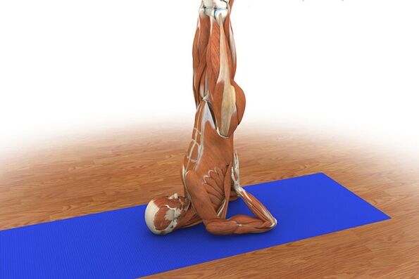 Güç için egzersiz Huş